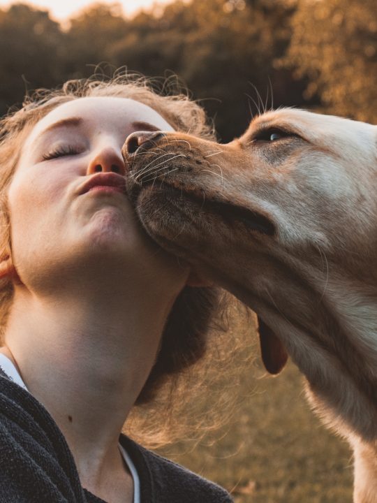 Welche Sternzeichen lieben ihre Haustiere mehr als die Menschen?