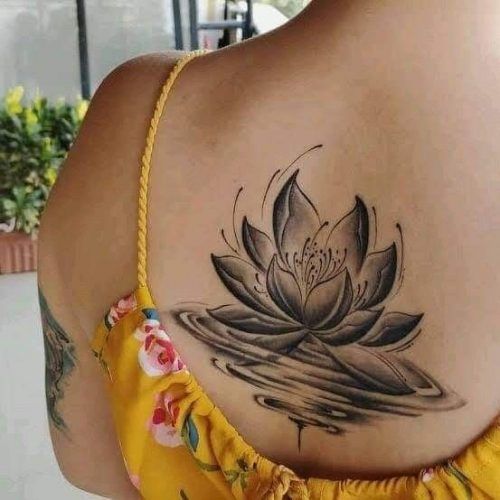 Lotus mit Kulisse