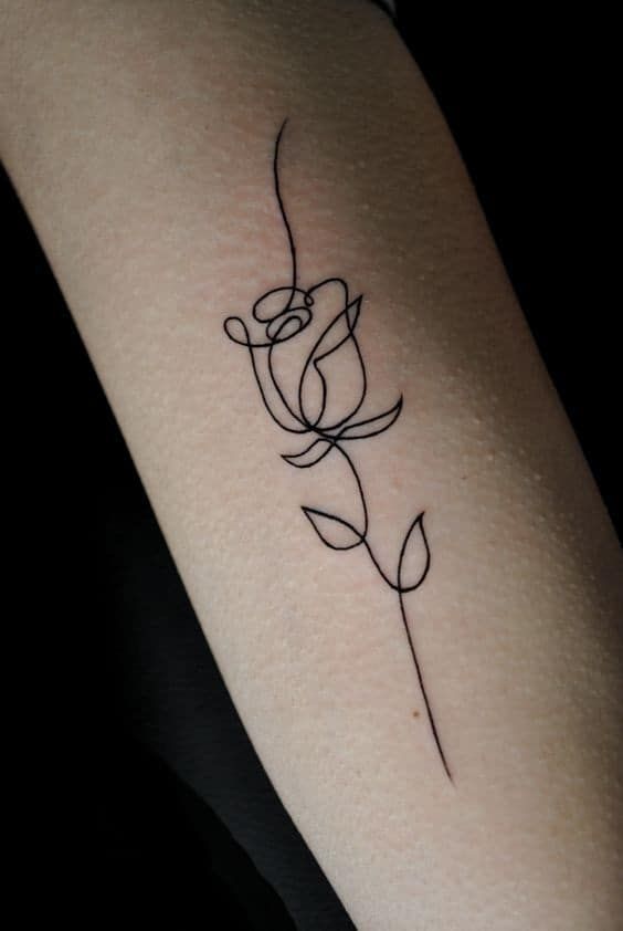 Die Single-Line-Rose des Minimalisten